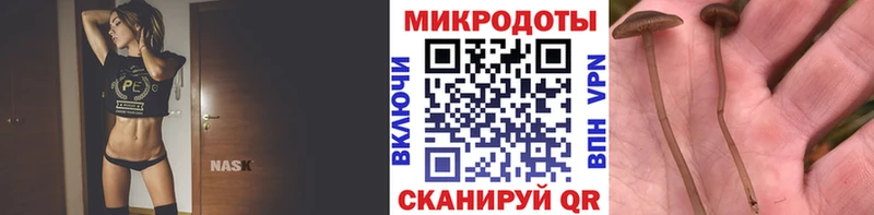 Галлюциногенные грибы GOLDEN TEACHER  Кондрово 